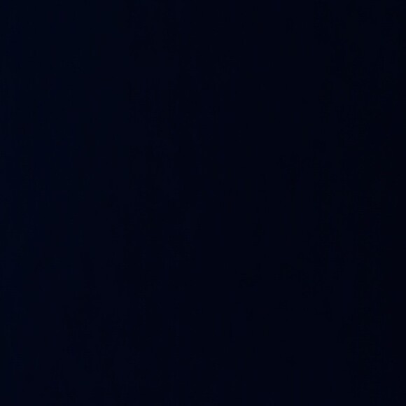 lesavage_